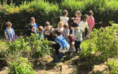 LOIOLAKO BARATZA PRESTATZEN